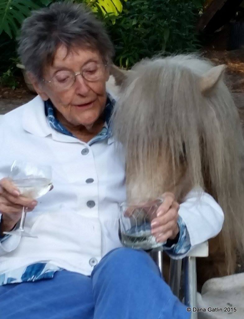 Dreamy at Happy Hour